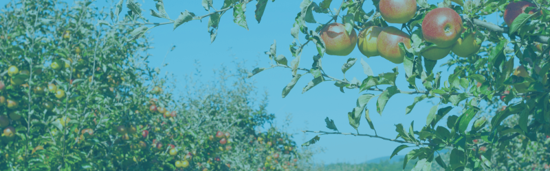 Slider background image