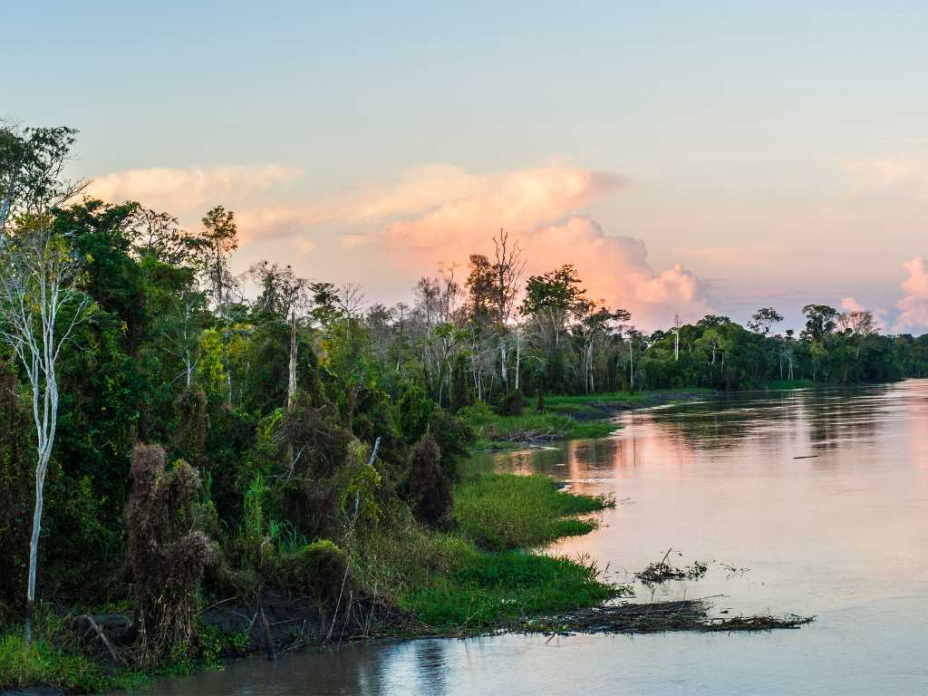 D’Aguilar National Park