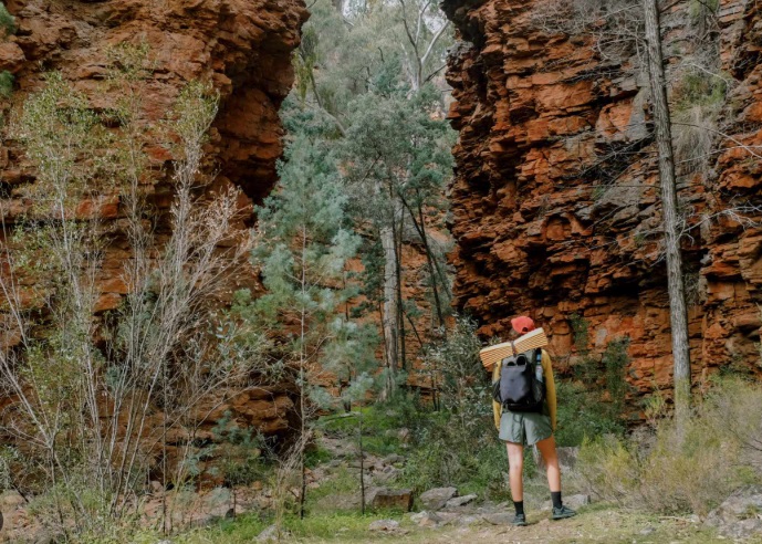 what to do flinders range aligator gorge