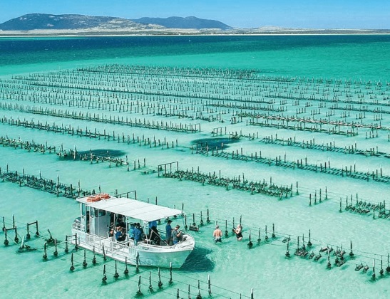 Eyre Peninsula – Coastlines and Seafood