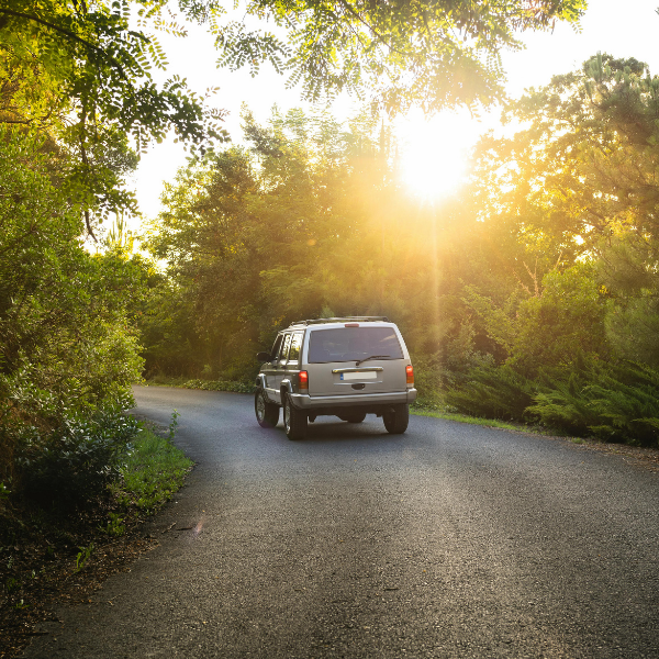 SUVs: Versatile and Stylish