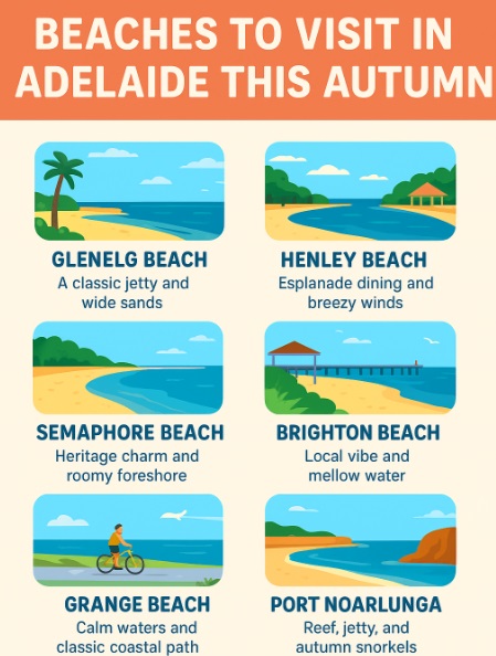 infographic beaches to visit in adelaide