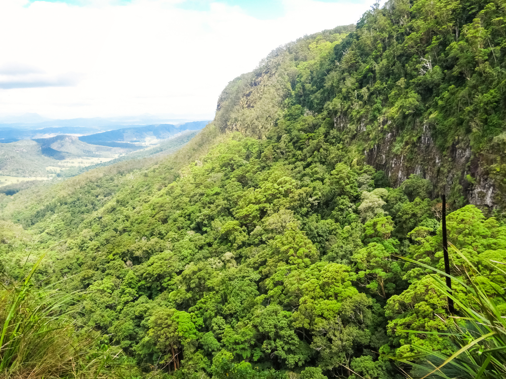 Lamington National Park queensland