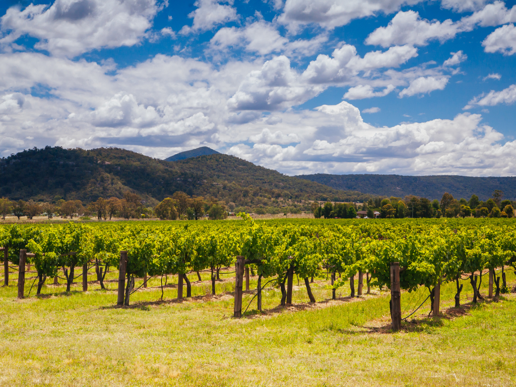 Barossa Valley