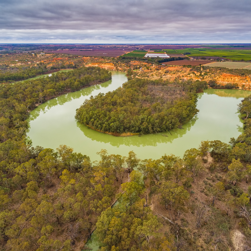 murray river south australia