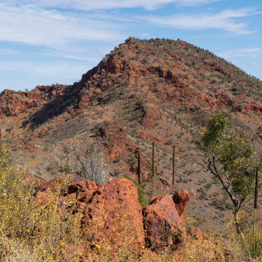 Arkaroola 