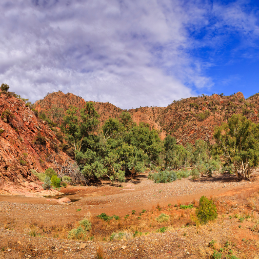 Brachina Gorge