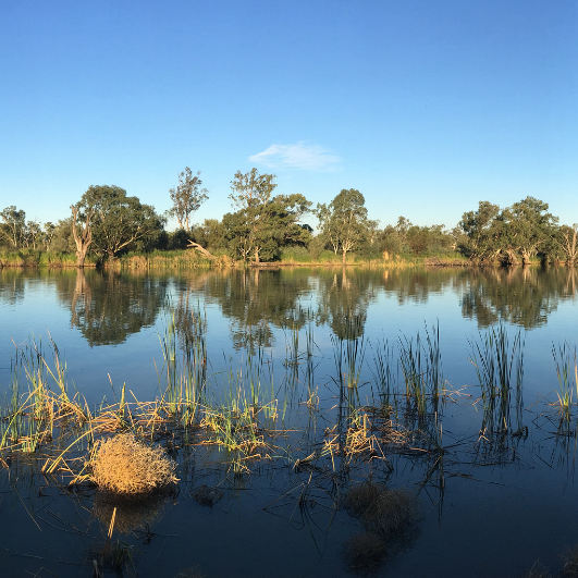 Orroroo