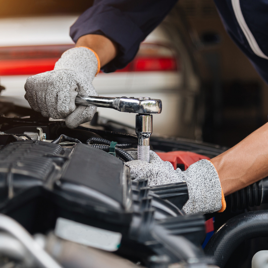 Use silica gel packs and rodent repellents.