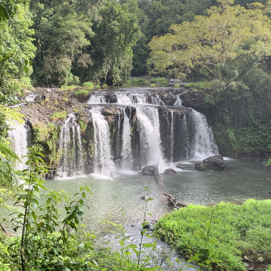 Atherton Tablelands Loop
