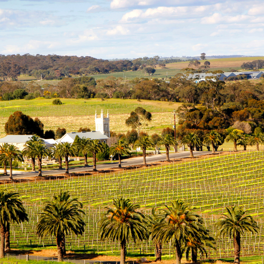 Barossa Valley: Gourmet Road Trip