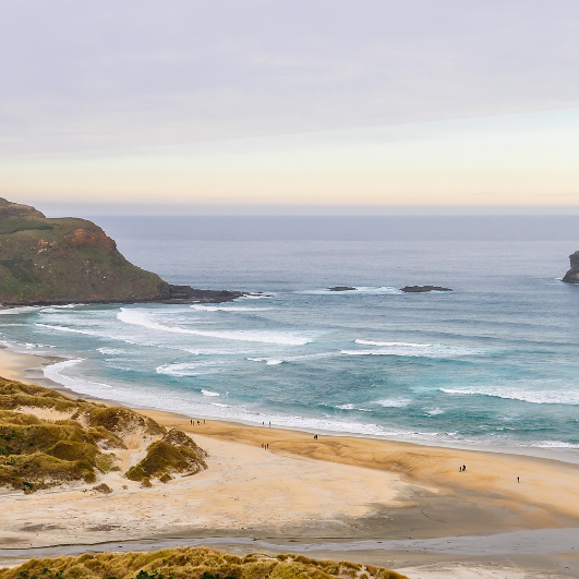 Eyre Peninsula: Seafood & Surf