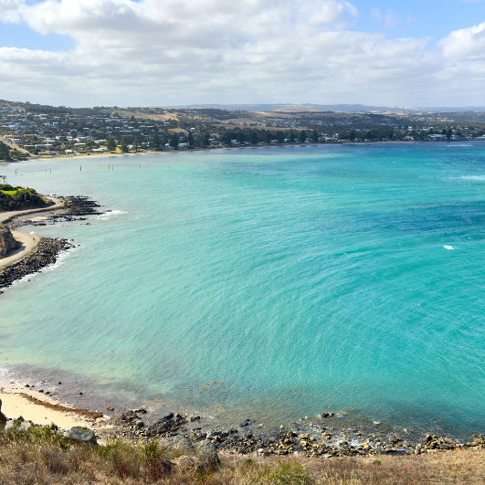 Fleurieu Peninsula Loop: Beaches, Wine & Wildlife