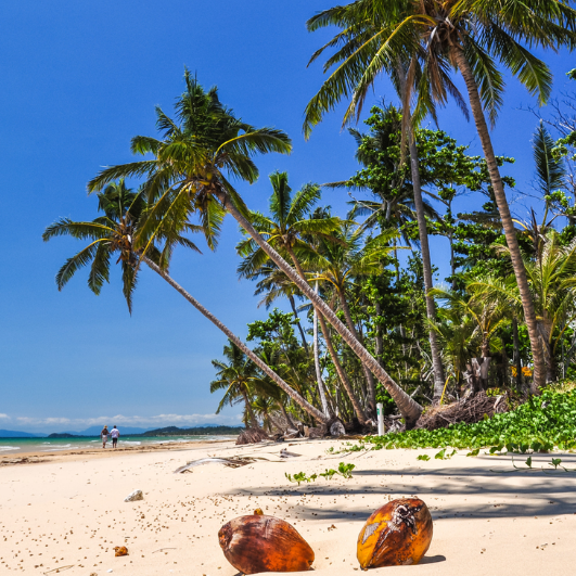 Mission Beach Escape