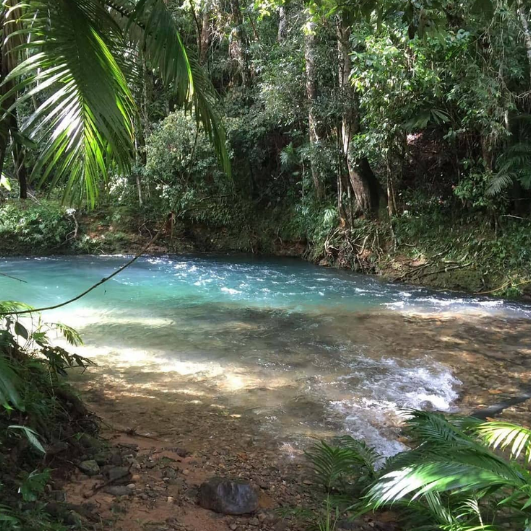 Daintree Rainforest & Cape Tribulation