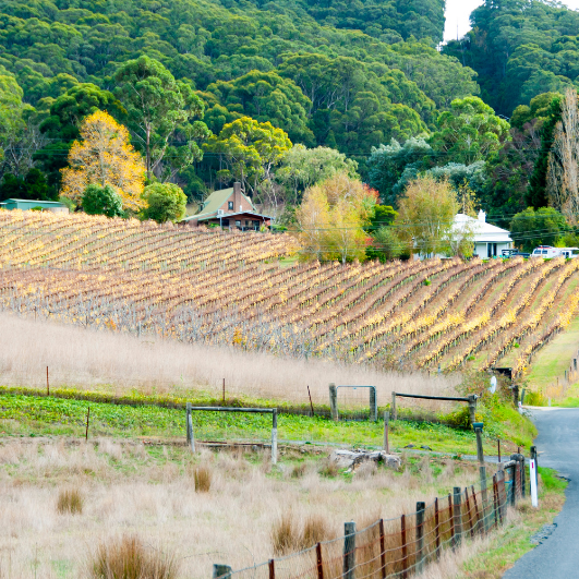 Adelaide Hills: Cool Escapes Close to the City