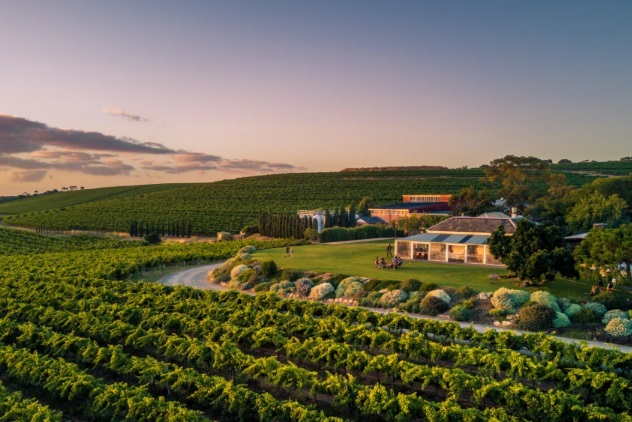 mclaren vale wine region