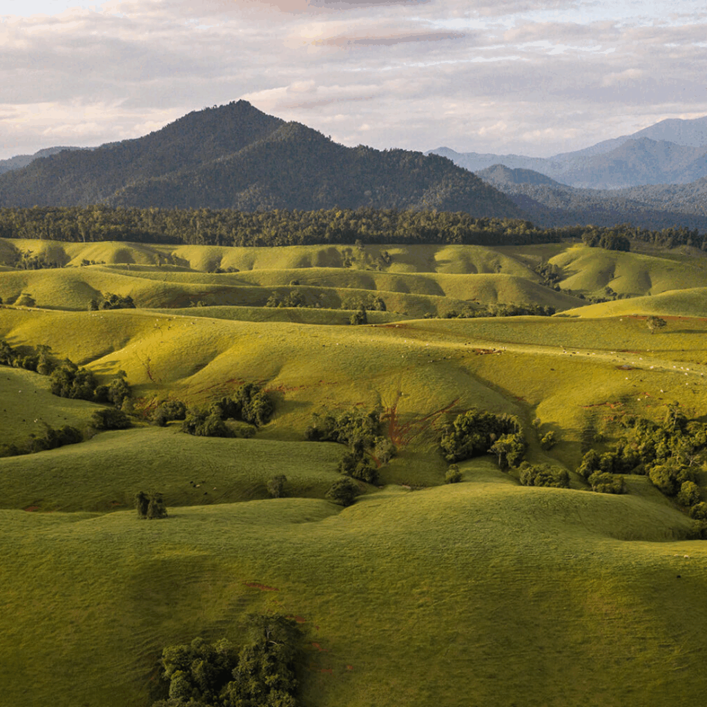 Atherton Tablelands (Cairns → Kuranda → Atherton → Yungaburra)