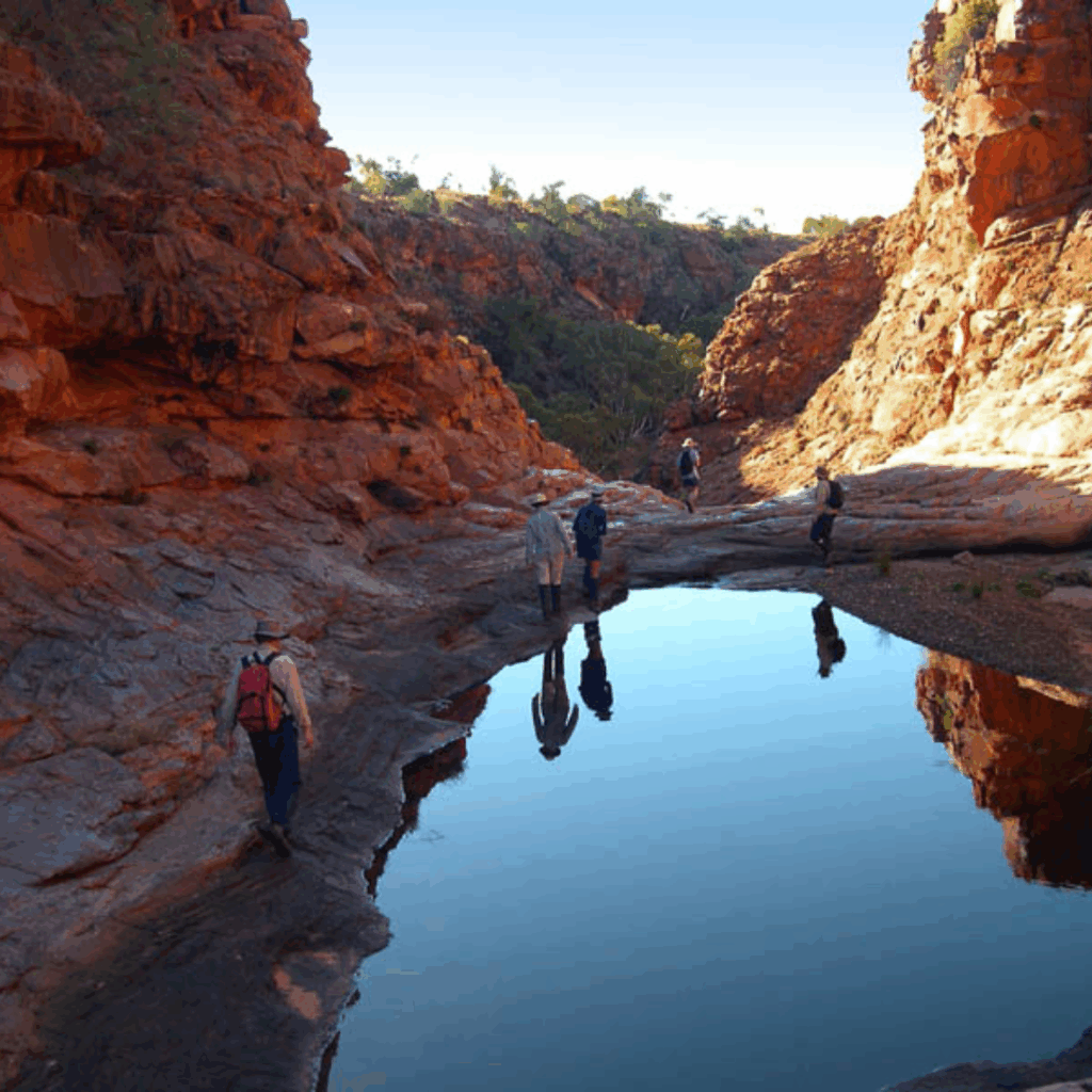 Kings Canyon (Watarrka National Park)