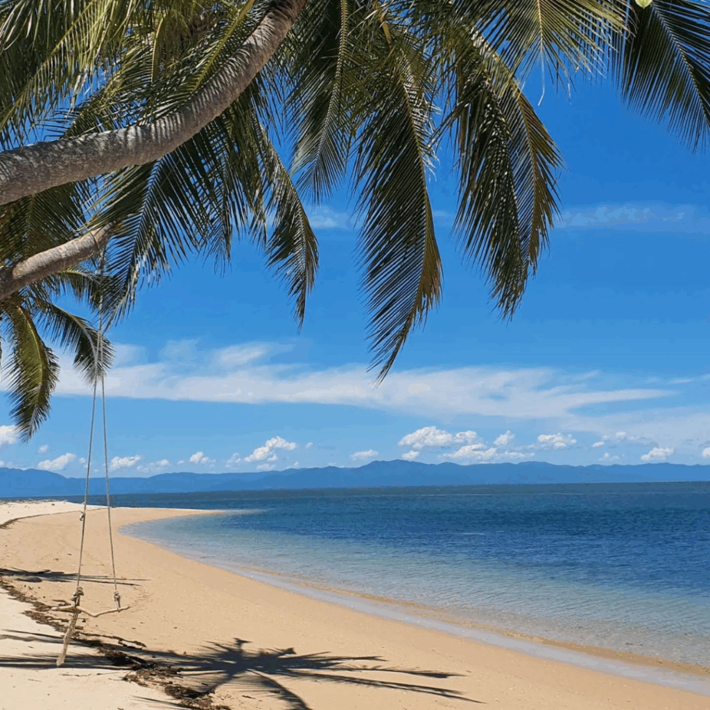 The Cassowary Coast (Cairns → Babinda → Etty Bay → Mission Beach)