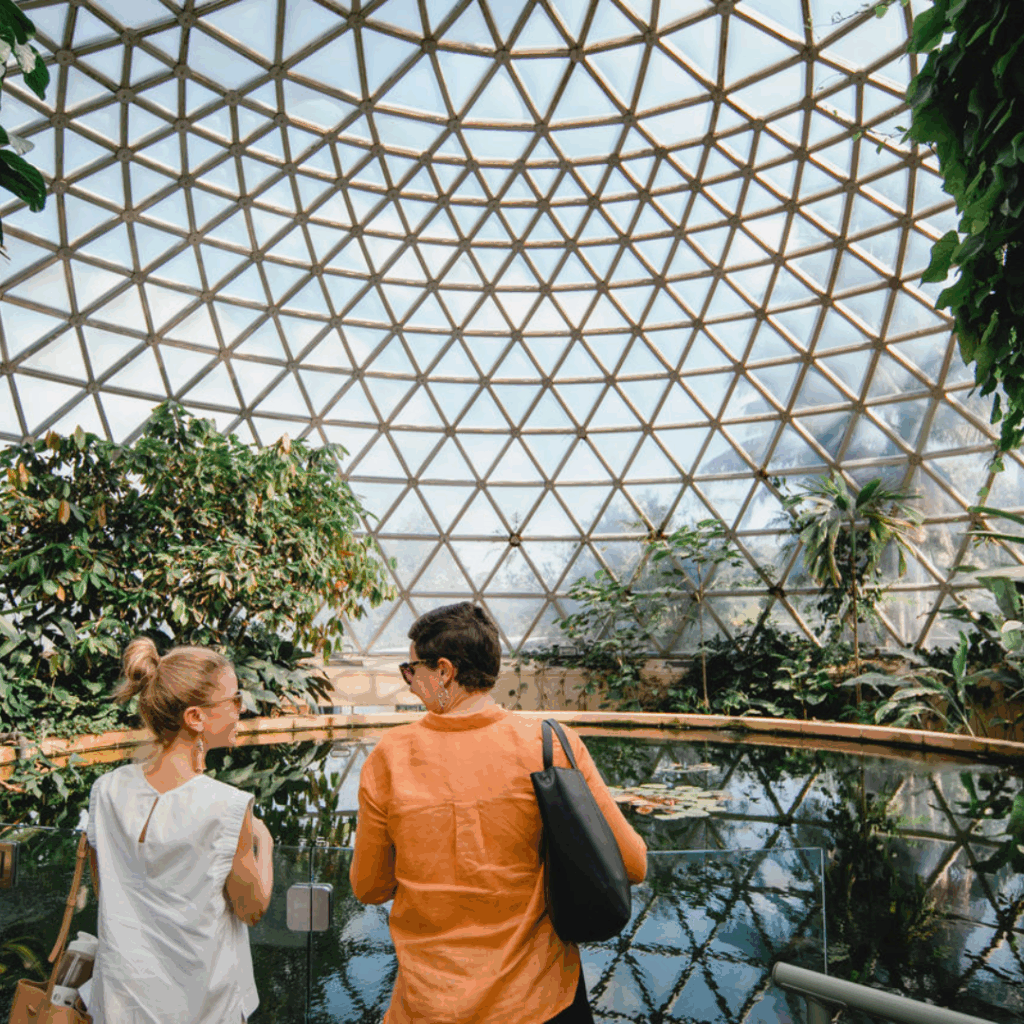Mount Coot-tha Lookout & Botanic Gardens