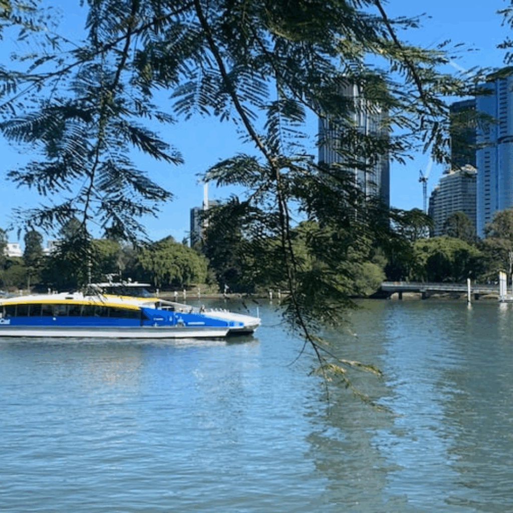River Cruises & CityCat Ferries — Kids Love Them