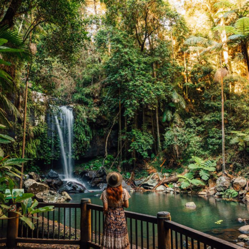 Tamborine Mountain