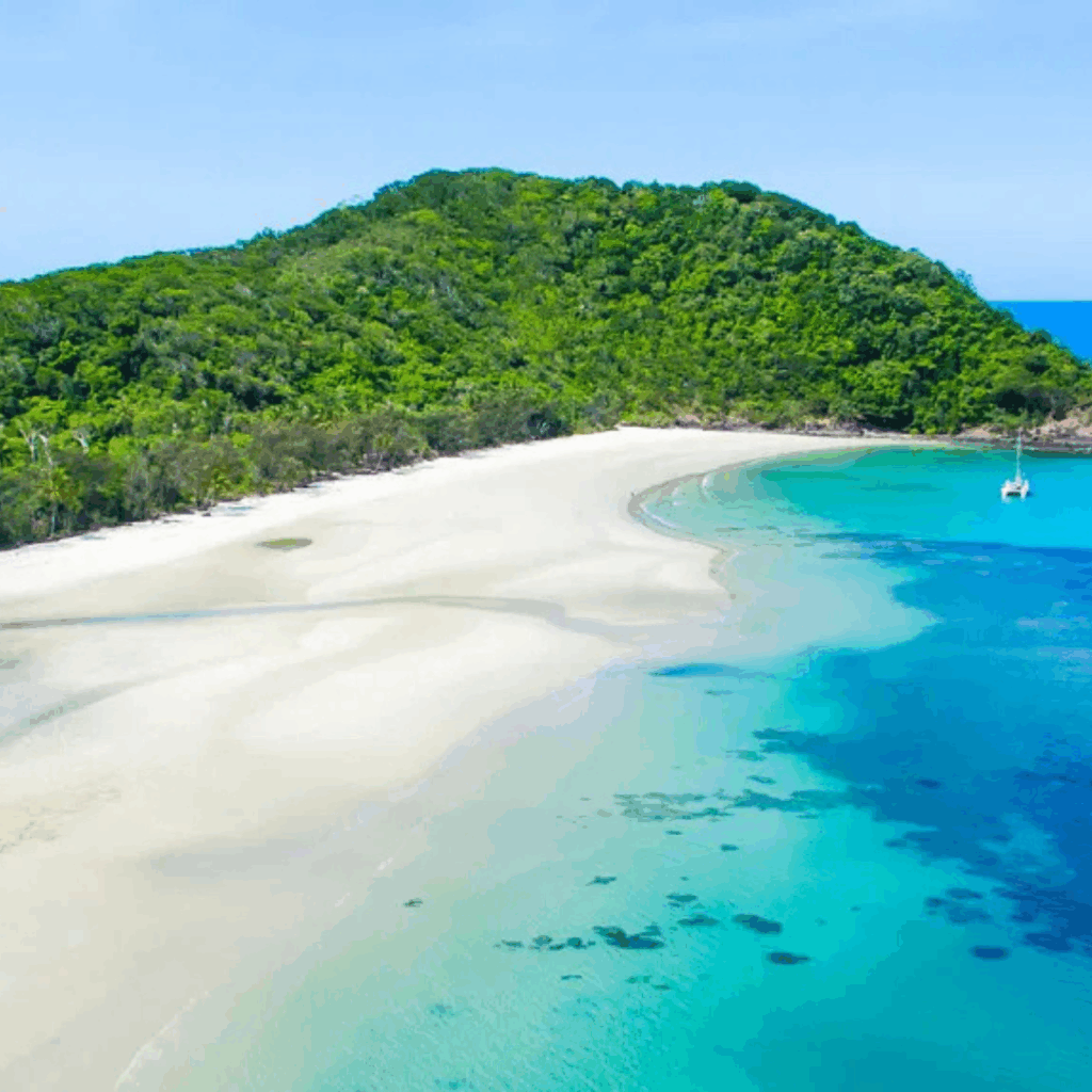 The Daintree Rainforest & Cape Tribulation (Cairns → Daintree → Cape Trib)