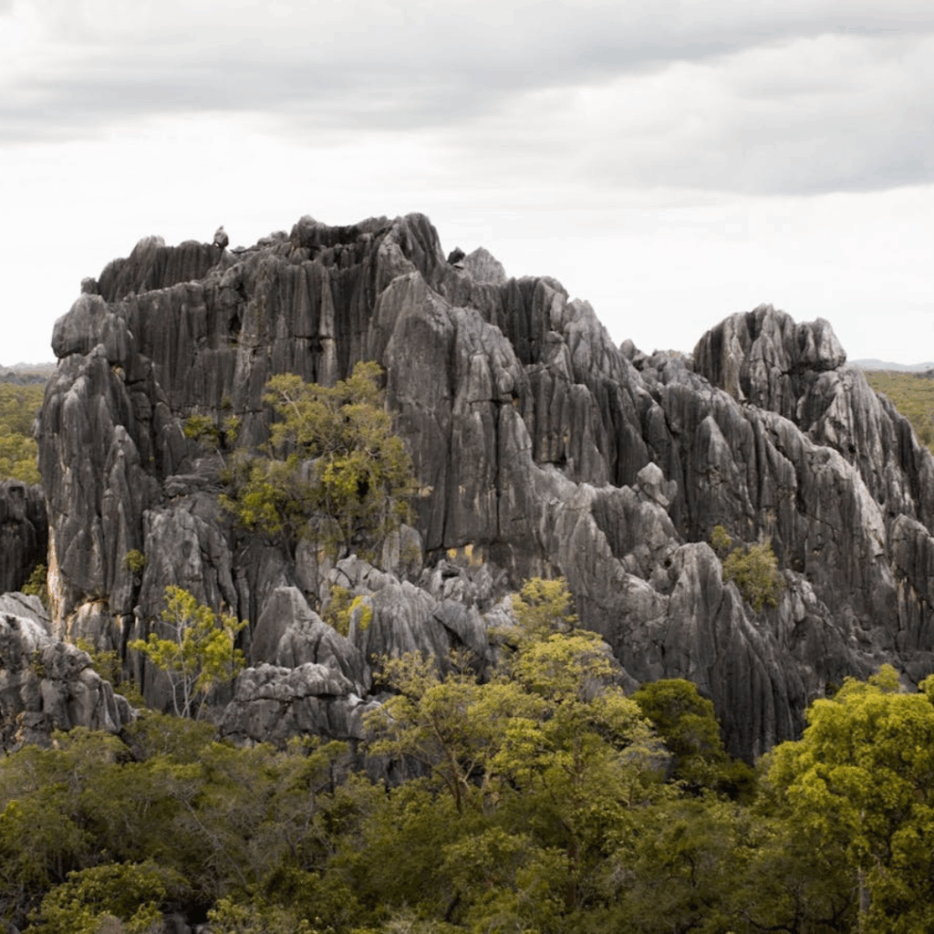 The Outback Drive (Cairns → Mareeba → Chillagoe)