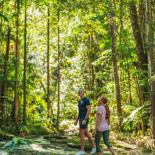 Top Things to Do in the Green Mountains