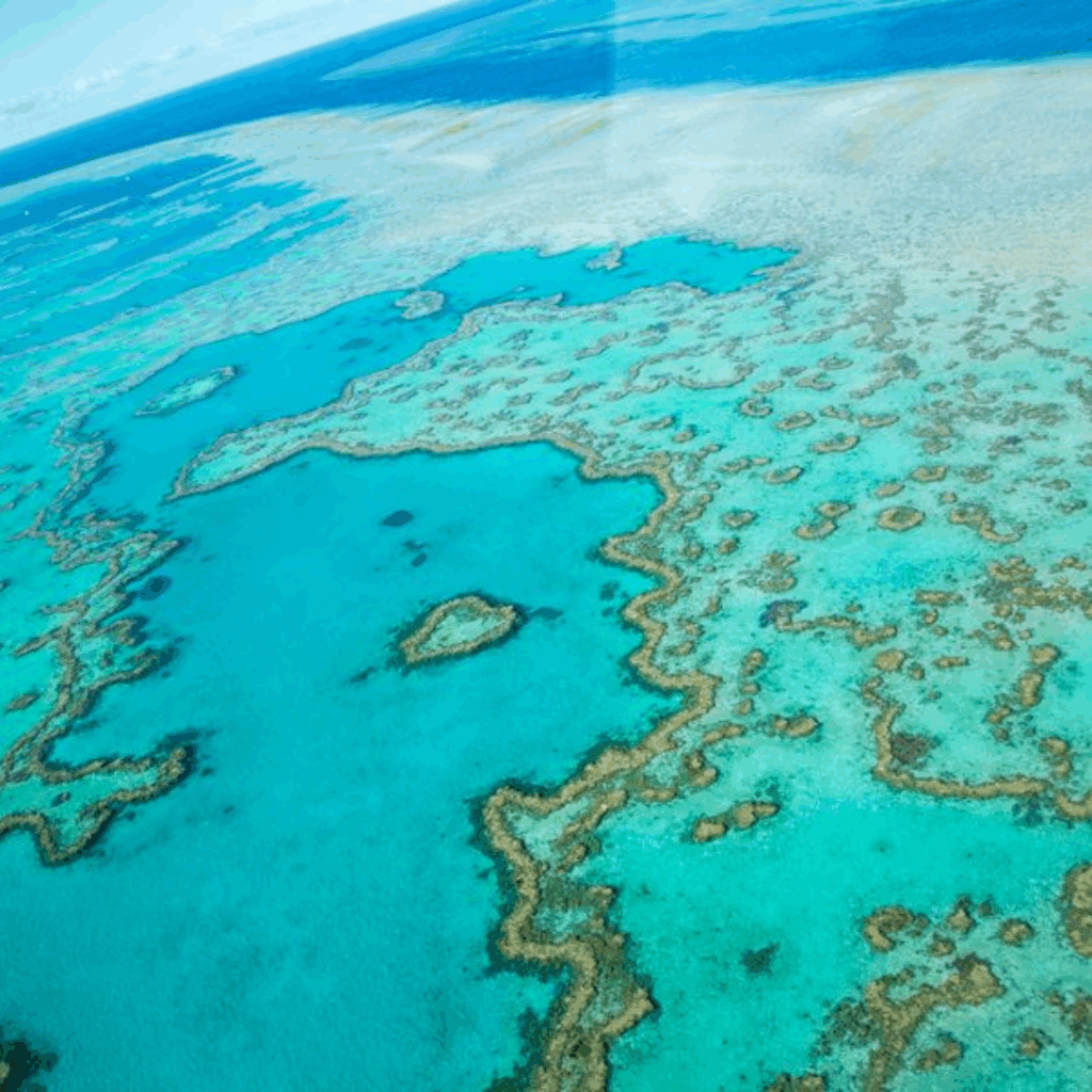 Outer Reef Adventure qld
