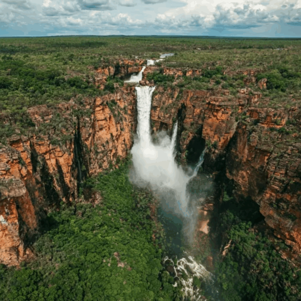 Kakadu australia